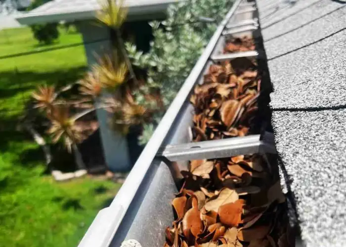 Holly Springs gutter cleaning home page